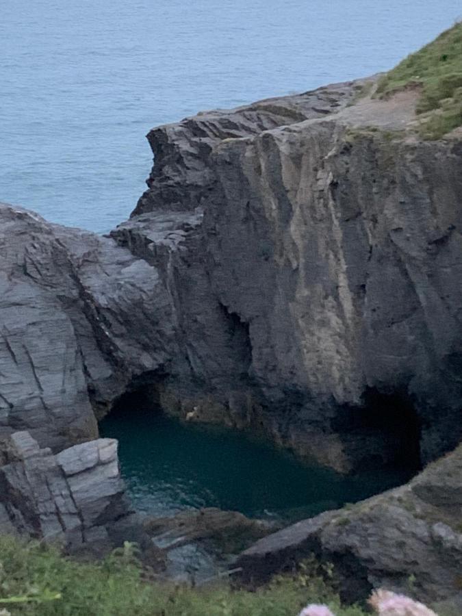 Wild Coastal Retreat At Troed Y Rhiw Aberporth, West Wales 빌라 외부 사진