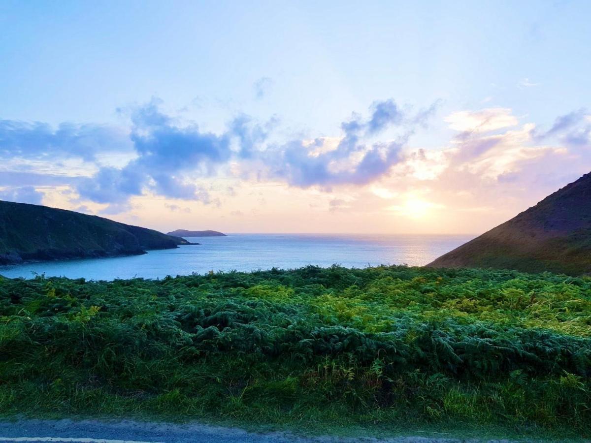 Wild Coastal Retreat At Troed Y Rhiw Aberporth, West Wales 빌라 외부 사진